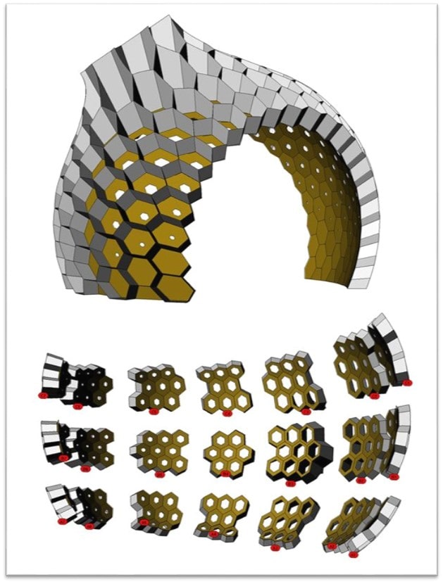 معماری زنبور عسل