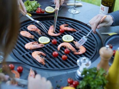 تاریخچه باربیکیو + بررسی جامع
